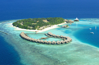 医疗卫生门户网站整体解决方案